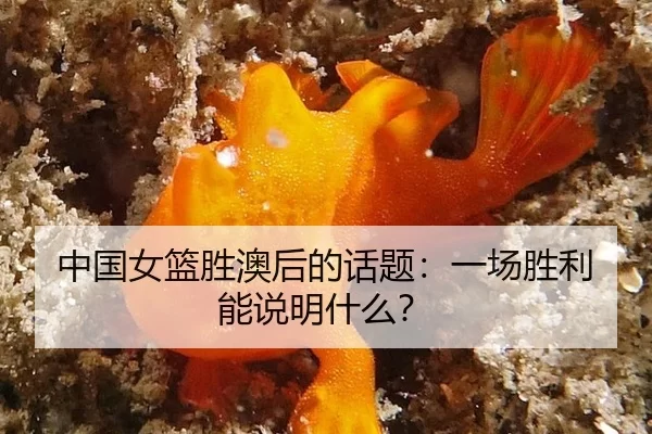 zhong-guo-nv-lan-sheng-ao-hou-de-hua-ti-yi-chang-sheng-li-neng-shuo-ming-shen-me-2-930.jpg